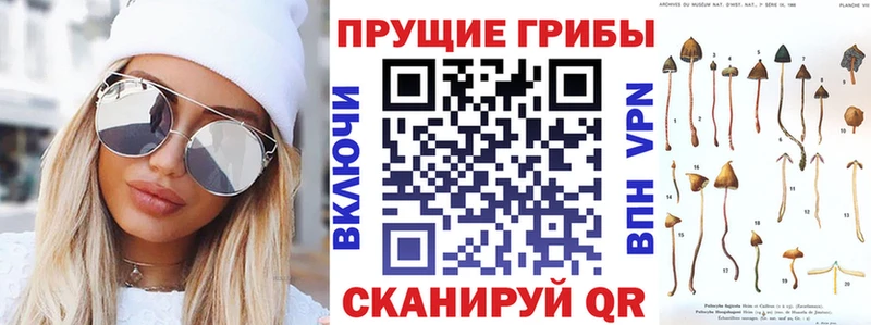 даркнет клад  Александровск-Сахалинский  Галлюциногенные грибы MAGIC MUSHROOMS 