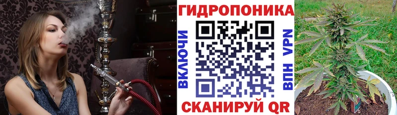 где продают наркотики  darknet состав  МАРИХУАНА тримм  Александровск-Сахалинский 